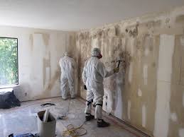 Best Asbestos and Lead Testing During Mold Inspection  in Westlake Vlage, IL